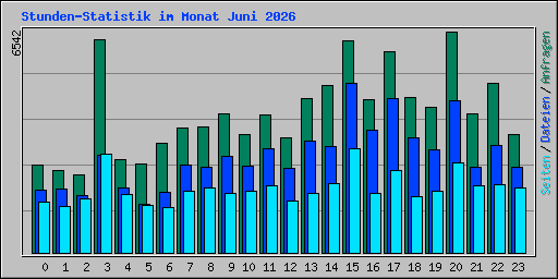 Stunden-Statistik im Monat Juni 2026